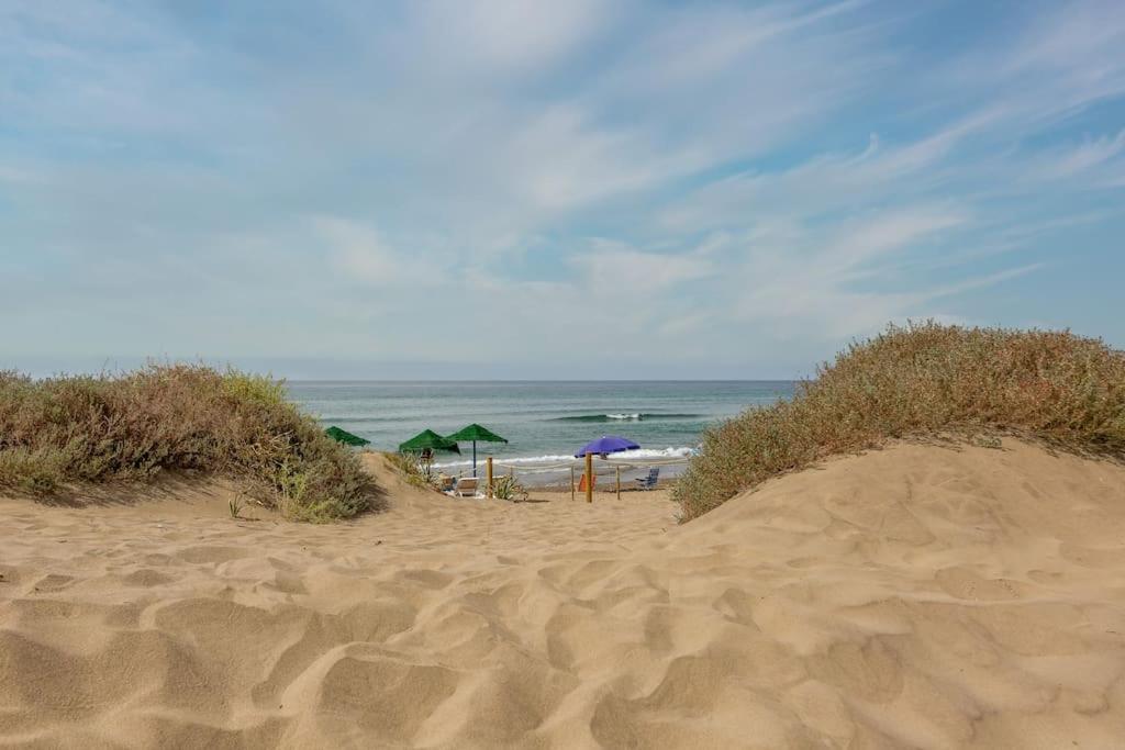 Apartamento Oleholidays 1106 Romana Playa Primera Linea Playa